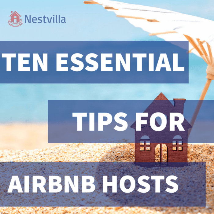 Airbnb hosts successful nestrs Airbnb host tips